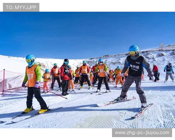 世界高山滑雪智能监测第38阶段试点投用通告，高山滑雪障碍赛